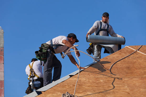 Best Tile Roofing Contractor  in Louisa, VA