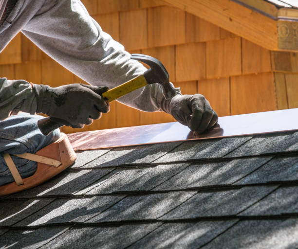 Best Metal Roofing Contractor  in Louisa, VA